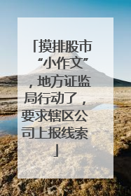 摸排股市“小作文”，地方证监局行动了，要求辖区公司上报线索